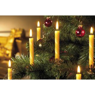 Bijenwas kerstboomkaarsjes